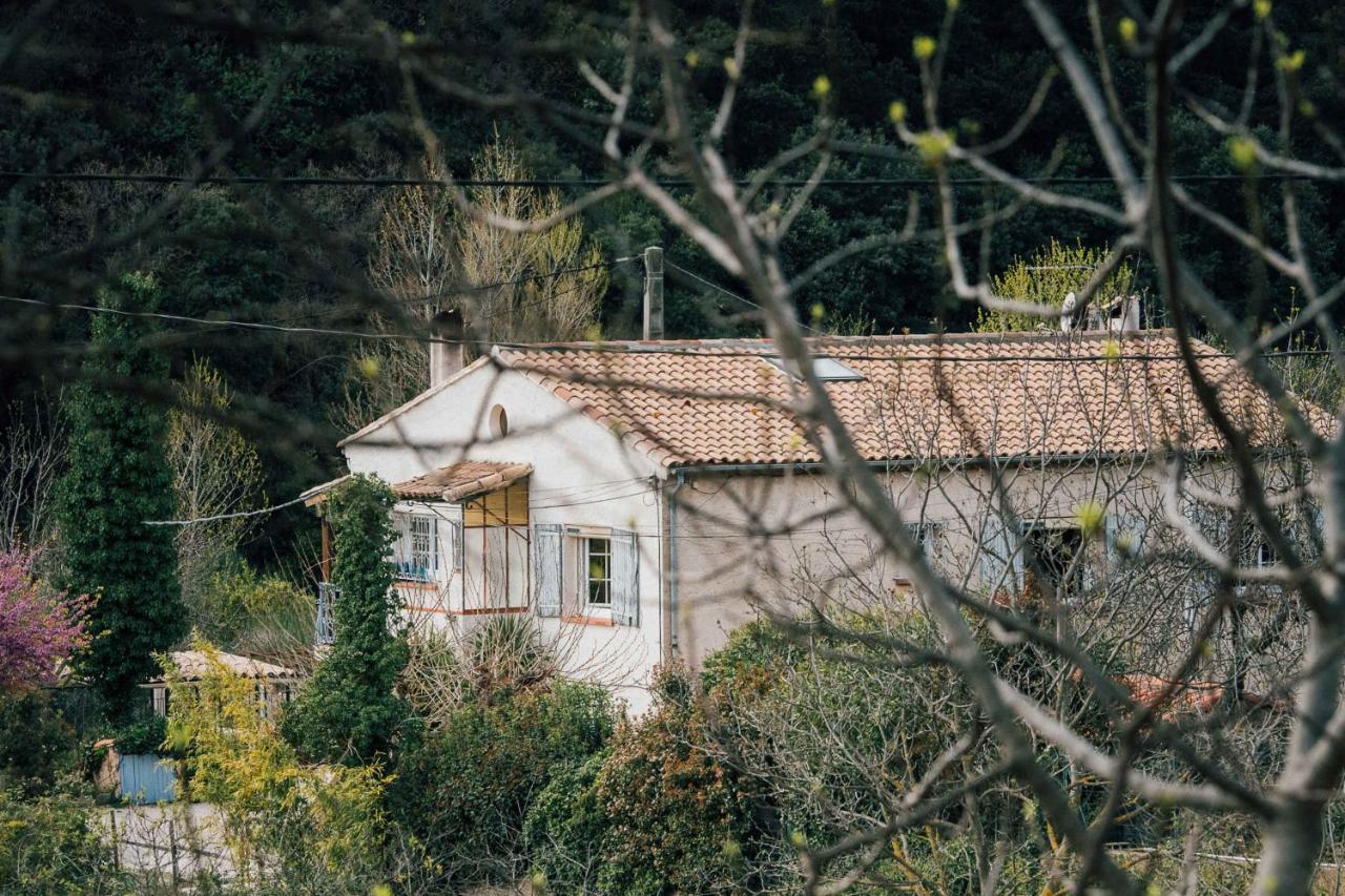 Maison D'Hotes Eco-Responsable Avec Piscine 6X12M Châteaudouble エクステリア 写真