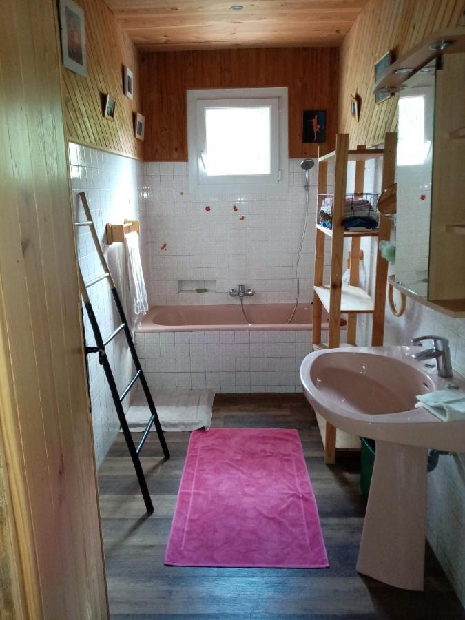 Maison D'Hotes Eco-Responsable Avec Piscine 6X12M Châteaudouble エクステリア 写真